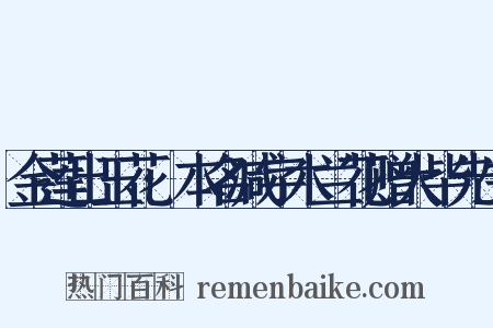 金莲出玉花·本名减字木兰花赠大毕先生是什么意思的图片